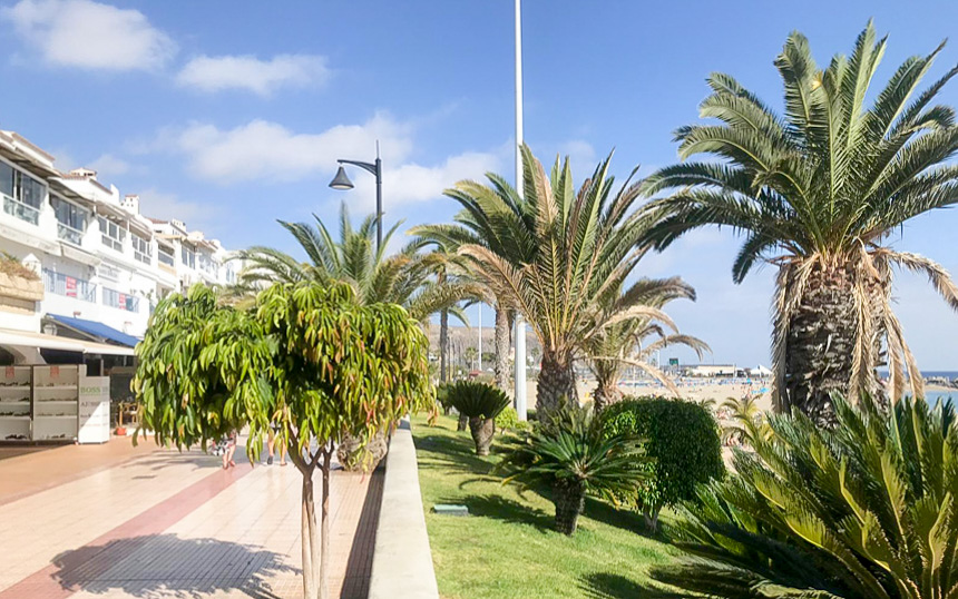 1 bed Commercial Property For Sale in Los Cristianos,  - 1