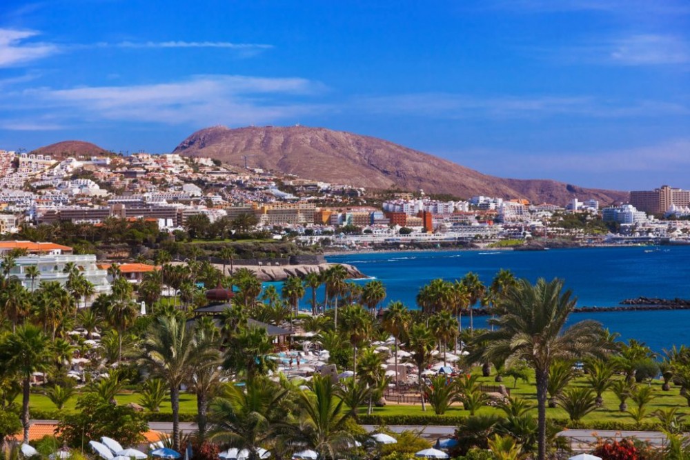 1 bed Commercial Property For Sale in Tenerife, Canary Islands, 